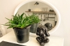 Апартаменти Birdie Home