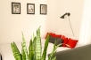 Апартаменти Birdie Home